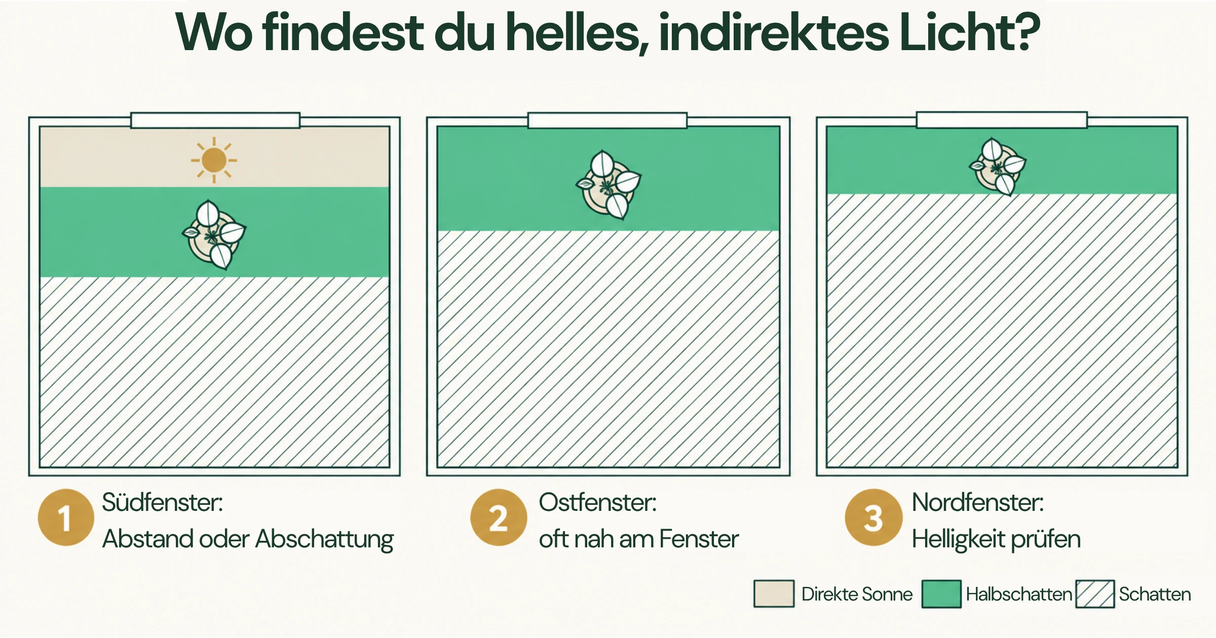Schematischer Vergleich von Süd-, Ost- und Nordfenster mit farbigen Zonen für direkte Sonne, helles indirektes Licht und schattigere Bereiche im Zimmer.